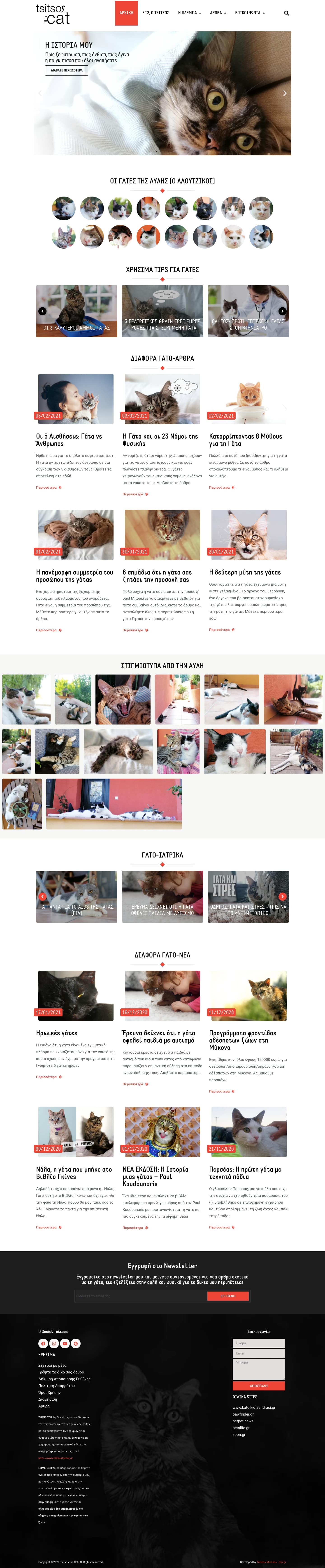 screencapture tsitsosthecat gr 2021 02 04 00 00 40